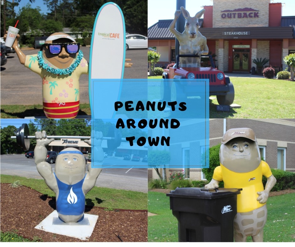 Education, Fun Decorative Peanuts Across Dothan
