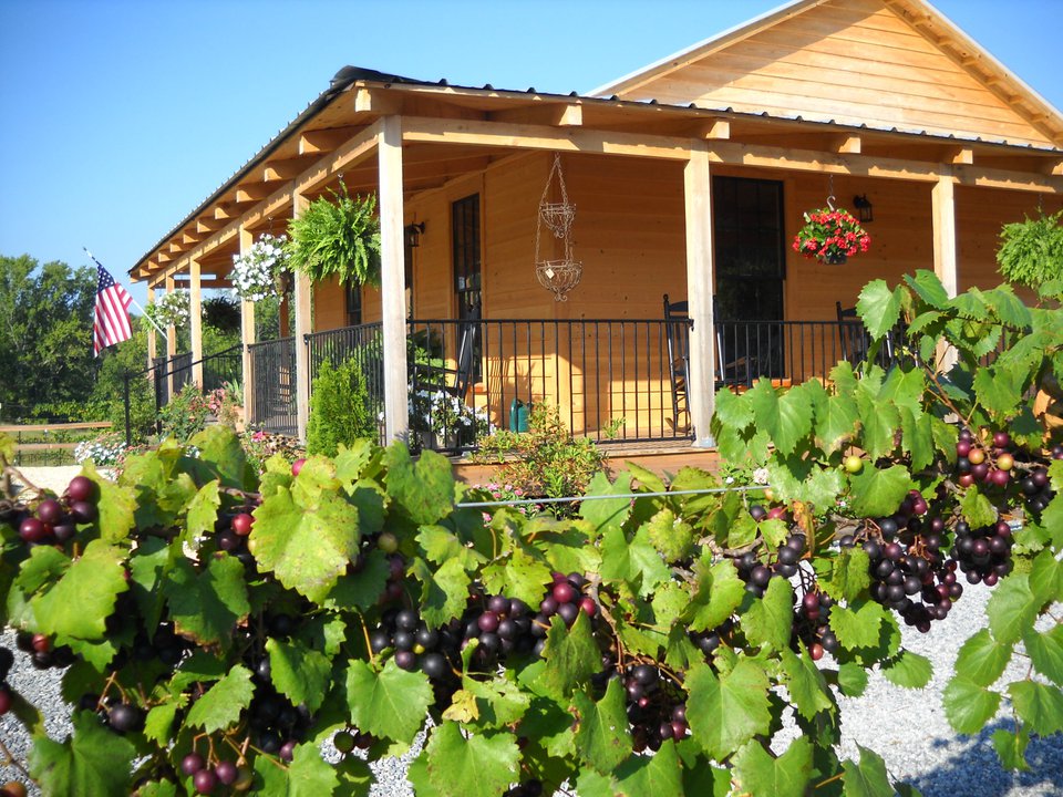 Check out these 8 impressive Alabama vineyards to visit