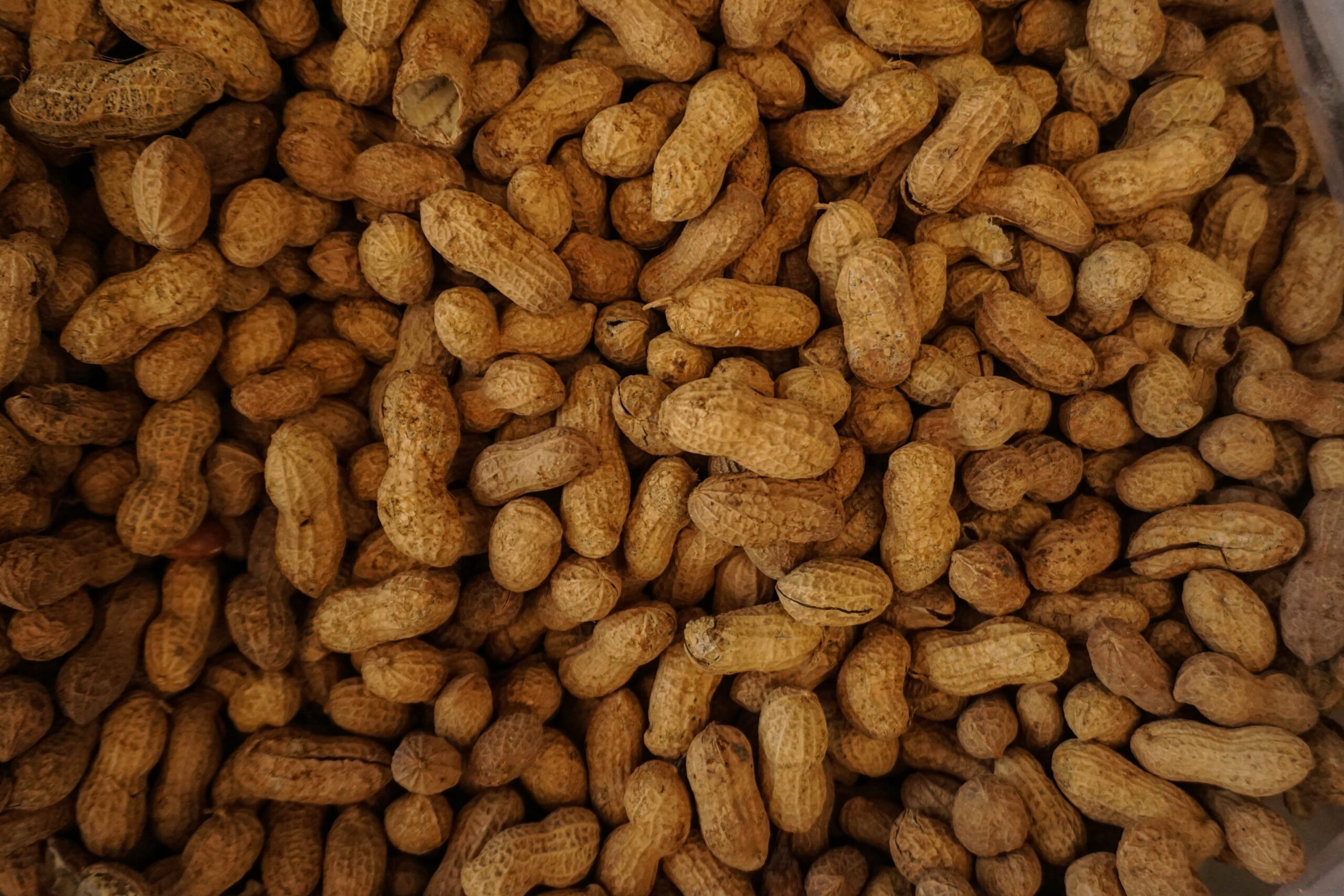 Construction, Bamabuzz, Business, Mobile Pile Of Dried Peanuts