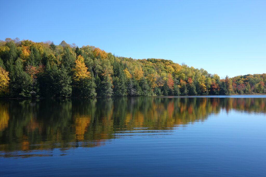 Fun, Bamabuzz Lake Photo From Unsplash
