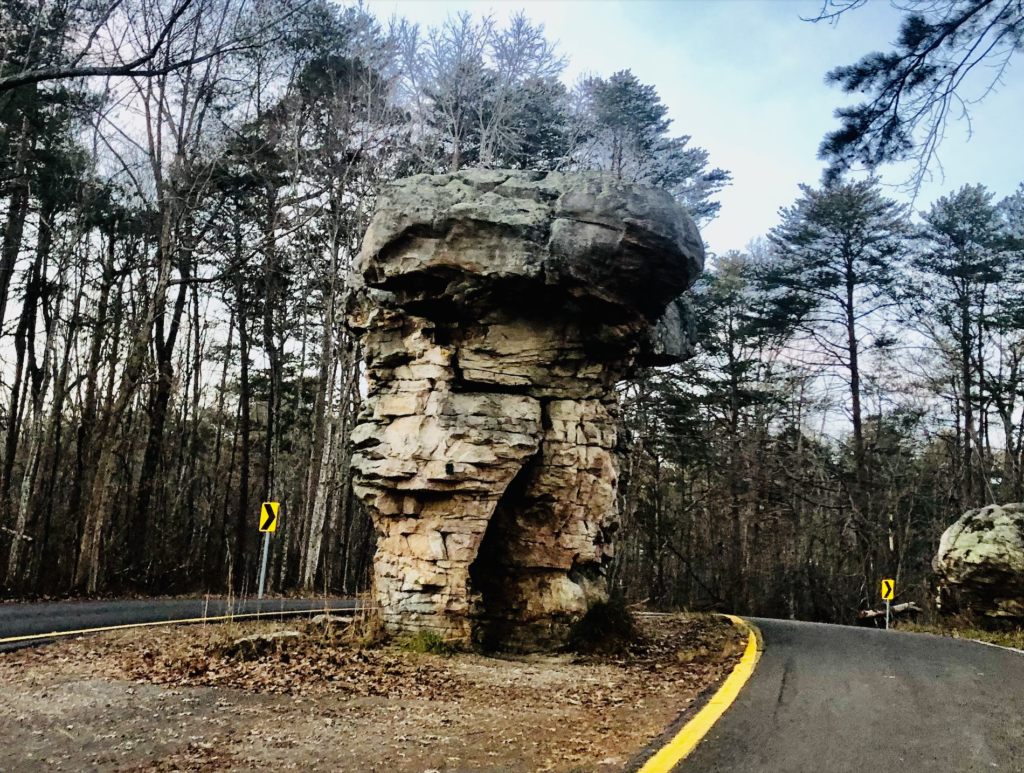 Uncategorized Mushroom Rock