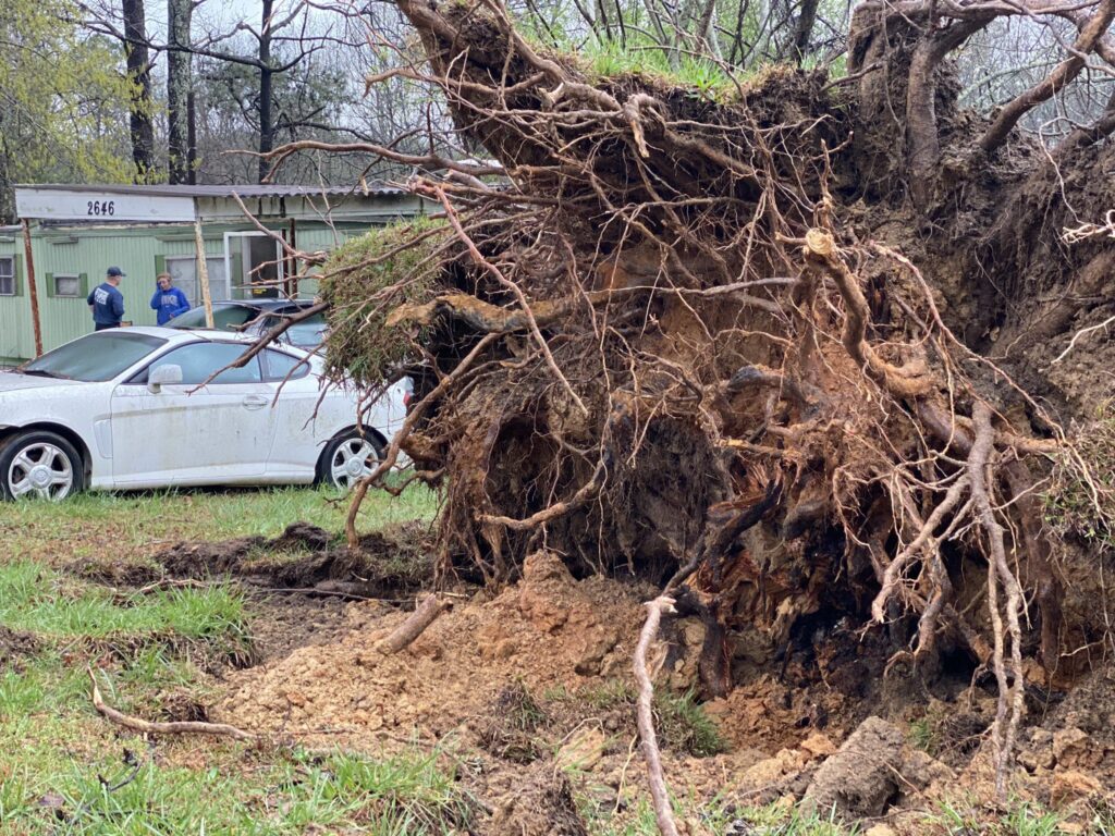 Civic, Bamabuzz, Uncategorized Tornado