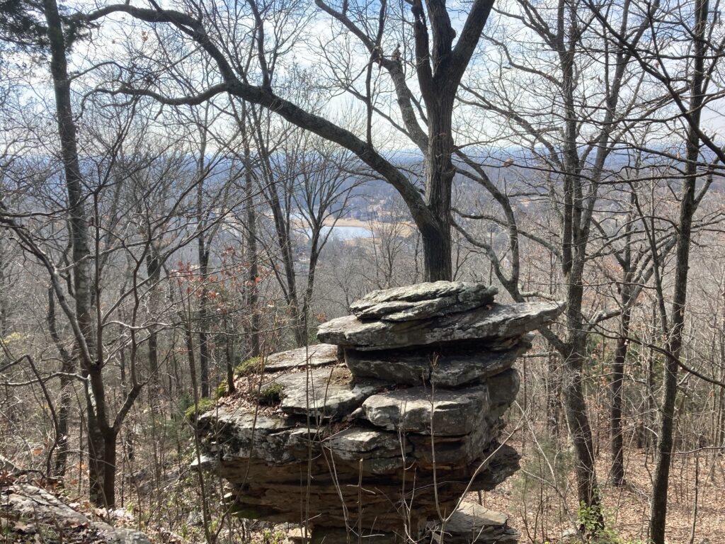 Fun Hikes