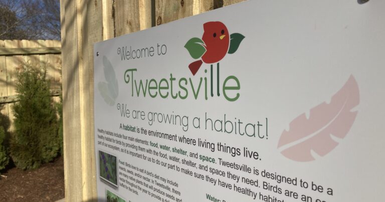 Tweetsville