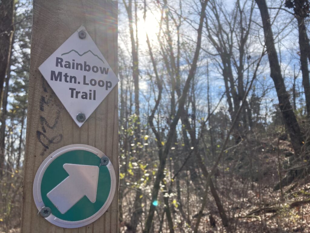 Fun Dog Hikes