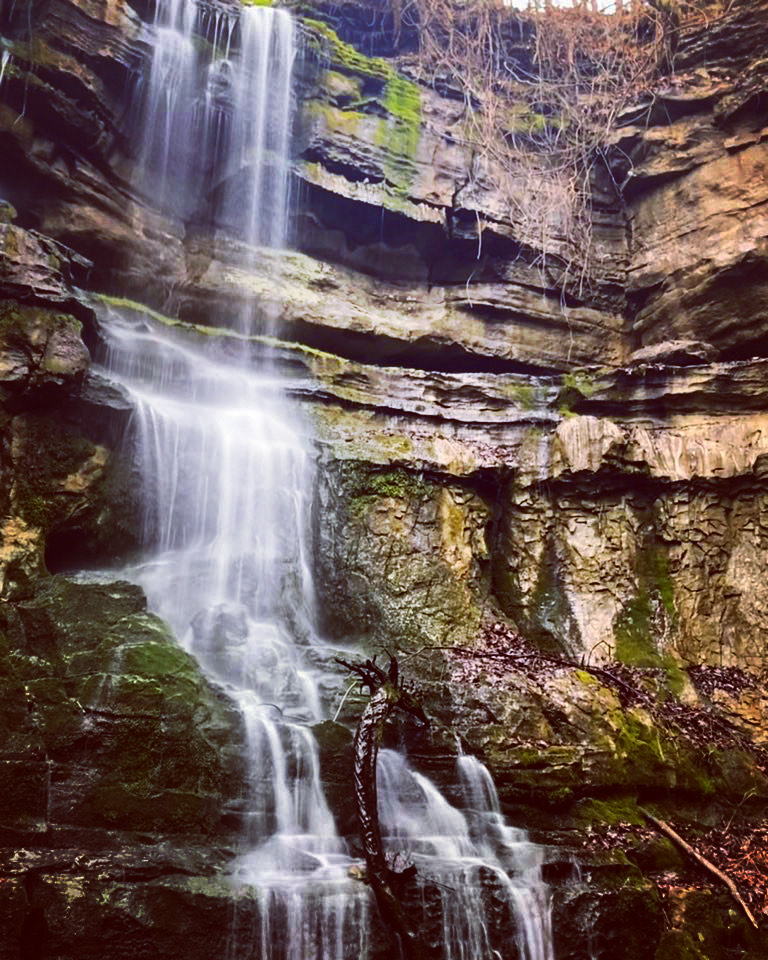 Fun Dog Hikes