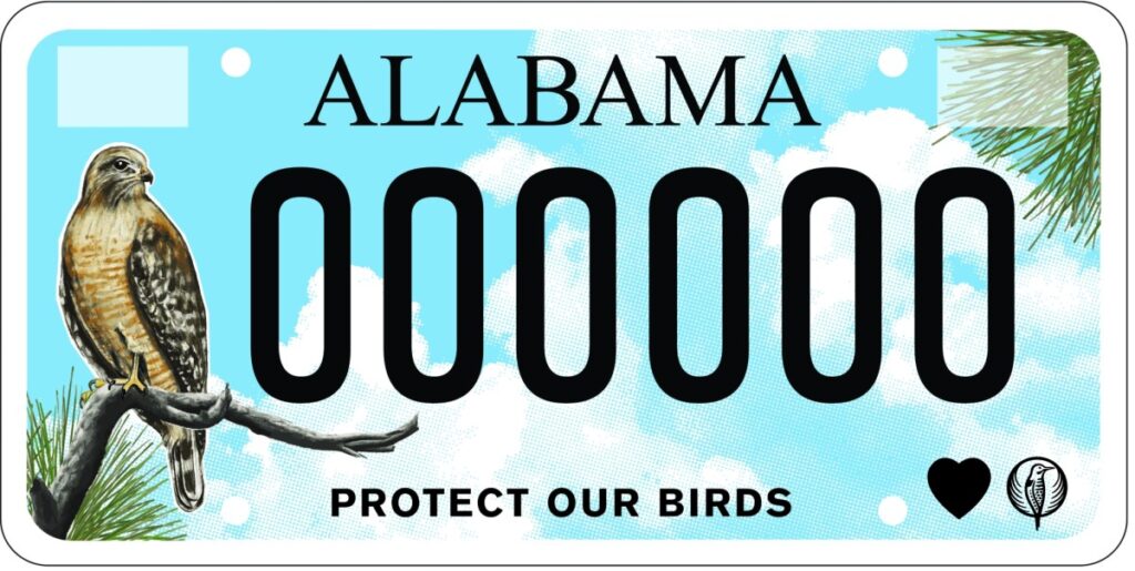 Education Alabama Audubon Tag