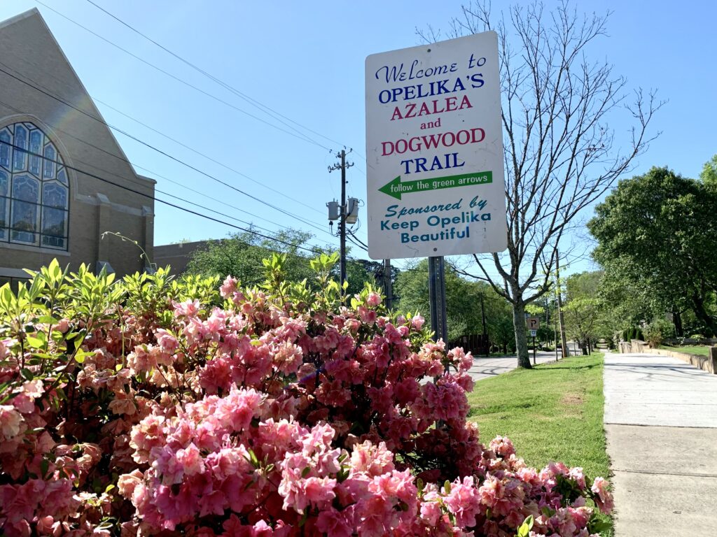 Uncategorized, Bamabuzz, Fun Img 9803 Auburn, Auburn Floral Trail, Auburn University, Azalea Trail, Davis Arboretum, Opelika, Springtime, The Flower Bed, The Flower Store, Town Creek Park