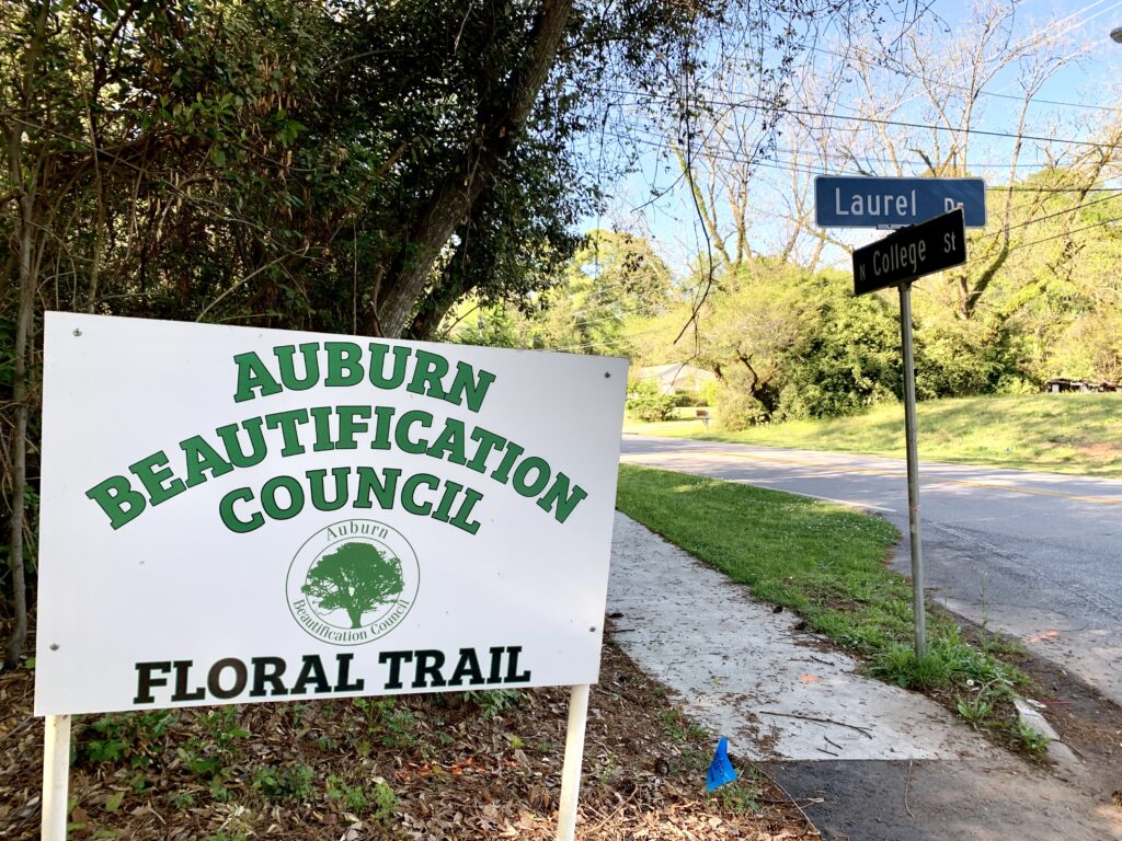 Uncategorized, Bamabuzz, Fun Img 9816 Auburn, Auburn Floral Trail, Auburn University, Azalea Trail, Davis Arboretum, Opelika, Springtime, The Flower Bed, The Flower Store, Town Creek Park