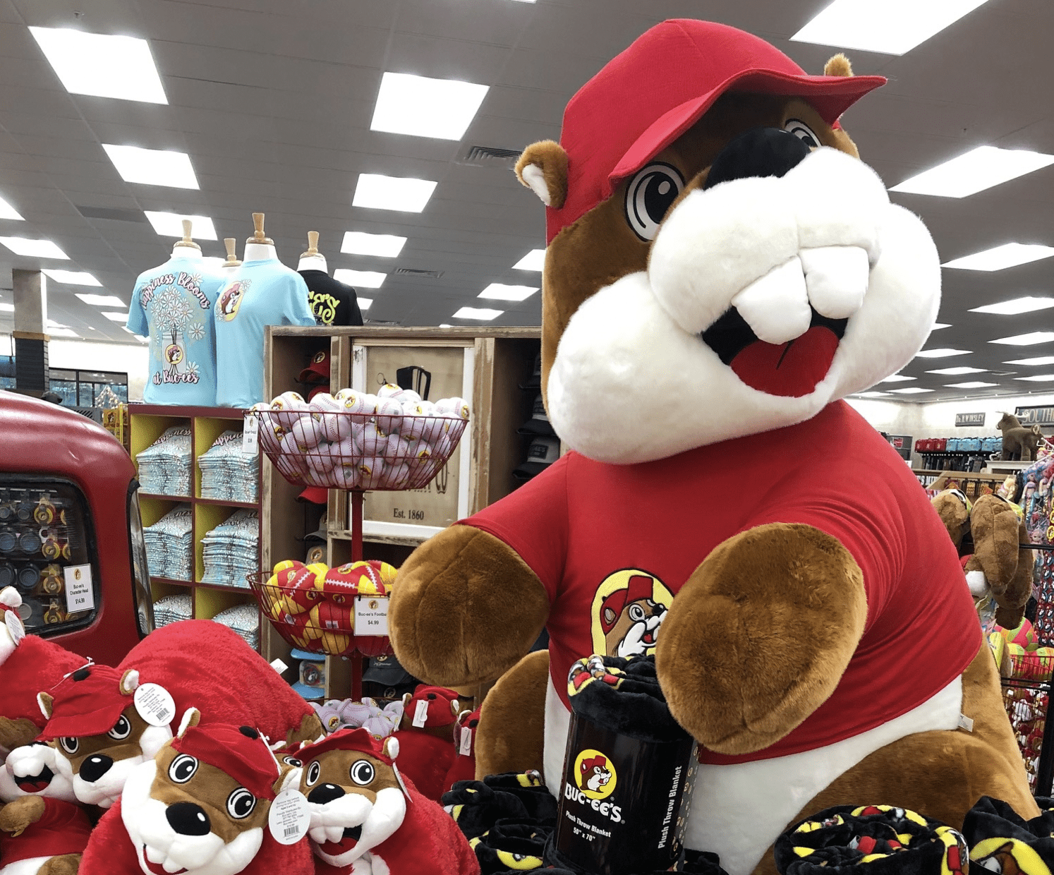 3rd Alabama Bucee's in the works for North Alabama The Bama Buzz