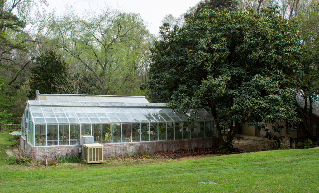 Bamabuzz, Fun The Greenhouse At Ua'S Arboretum.