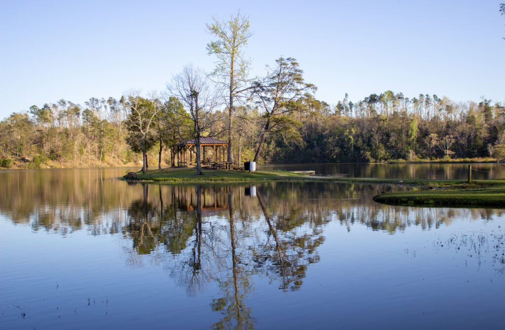 Bamabuzz, Fun The View From Lake Nicol.