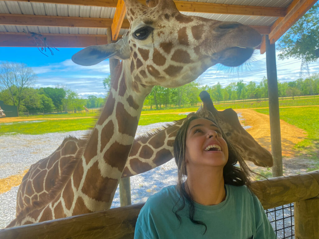 My Alabama Airbnb adventure, with a pit stop at the Alabama Safari Park My Alabama Airbnb adventure, with a pit stop at the Alabama Safari Park