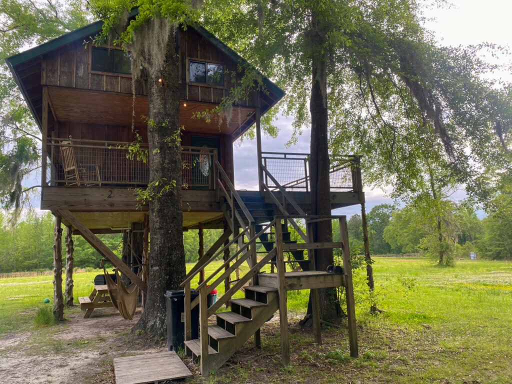 Fun Treehouse Airbnb