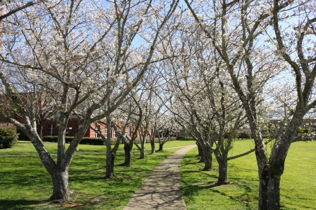Uncategorized, Bamabuzz, Business, Civic, Education Judson College