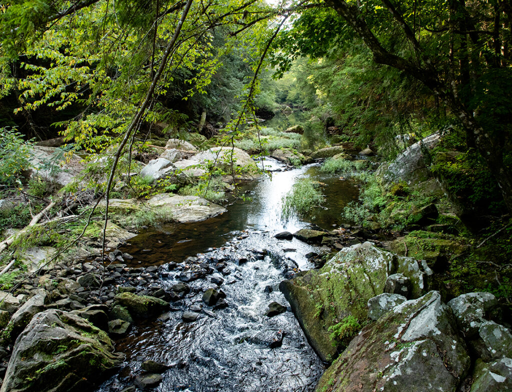 Outdoors Sipsey River
