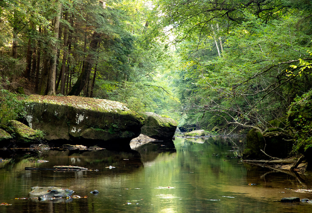 Outdoors Sipsey River