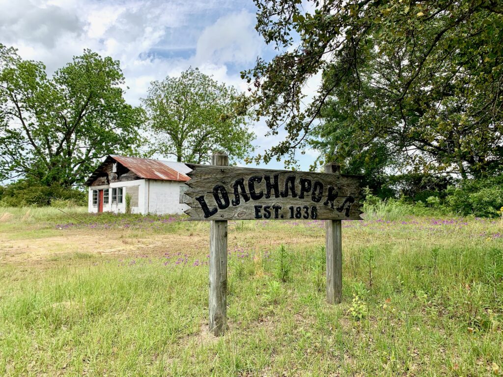 Uncategorized, Bamabuzz, Education, Fun Loachapoka