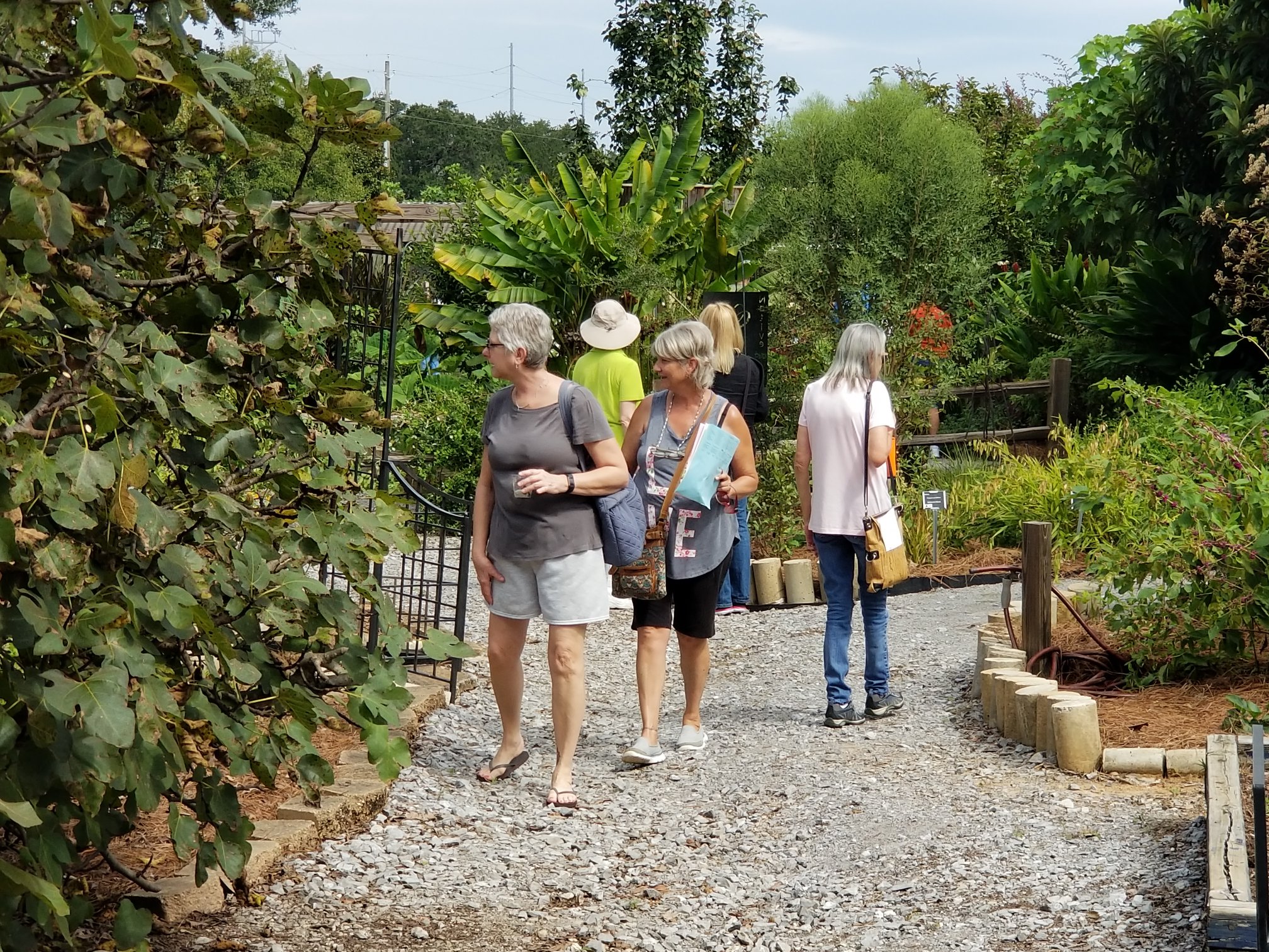 Outdoors Mcmb At Mbg 2 Master Gardeners, Mobile County Master Gardeners