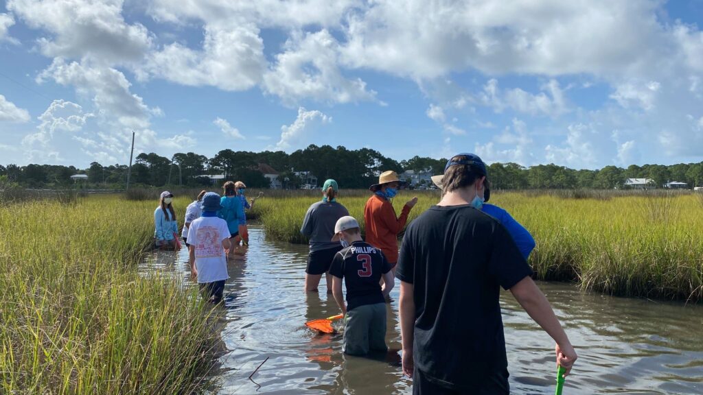 Bamabuzz, Fun, Outdoors Students Get Hands-On Experience At Dauphin Island'S Sea Life Camp. Photo Courtesy Of The Sea Life Camp.