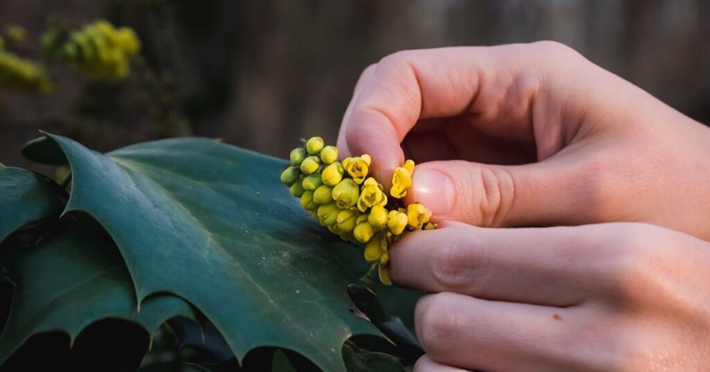 Outdoors, Bamabuzz, Education, Fun, Uncategorized Foraging