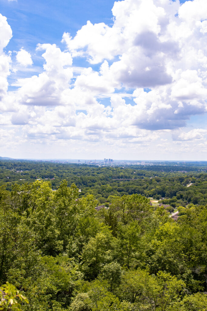 Ruffner Mountain 8 5 Birmingham hiking trails you need to check out today for spectacular views, wildlife + more
