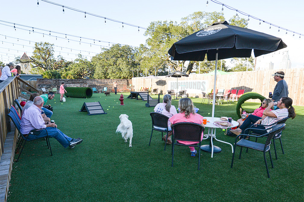 Why HopHounds is about to be your dog’s new favorite Mobile bar