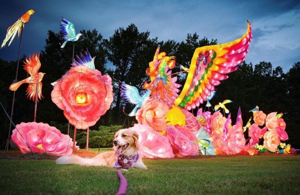 Guide to 5 of Huntsville's best outdoor events for September 6 outdoor events Huntsville Botanical Gardens