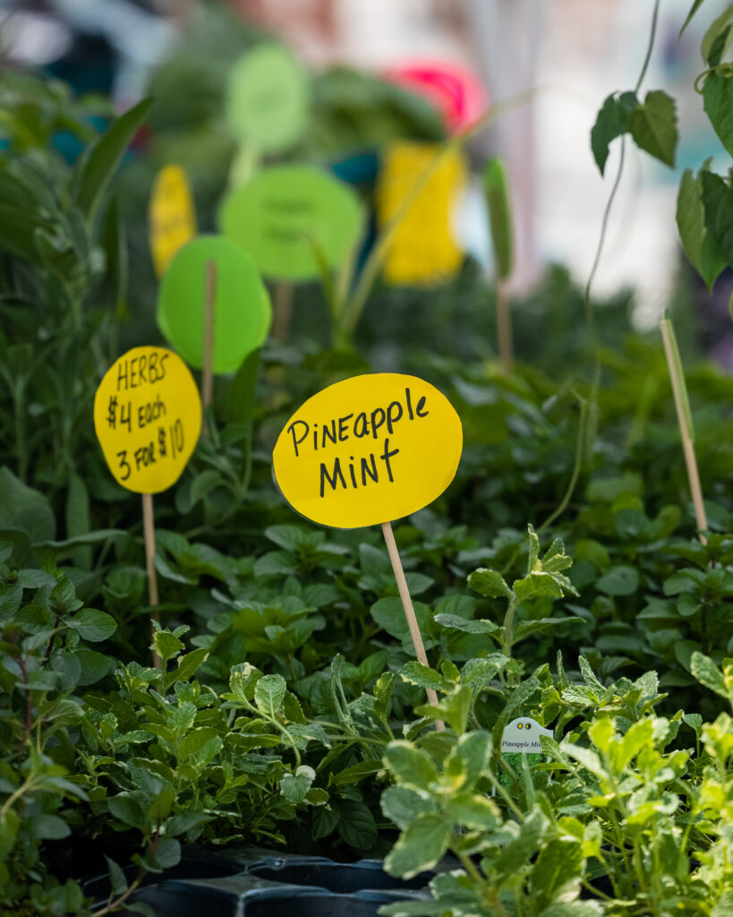 5 Huntsville farmers markets to add to your calendar now 4 the market at mid city farmers market