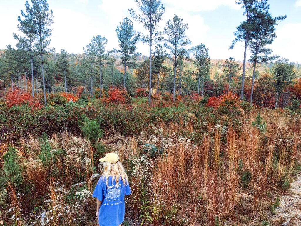 7 of the best hiking trails in Huntsville 7 of the best hiking trails in Huntsville
