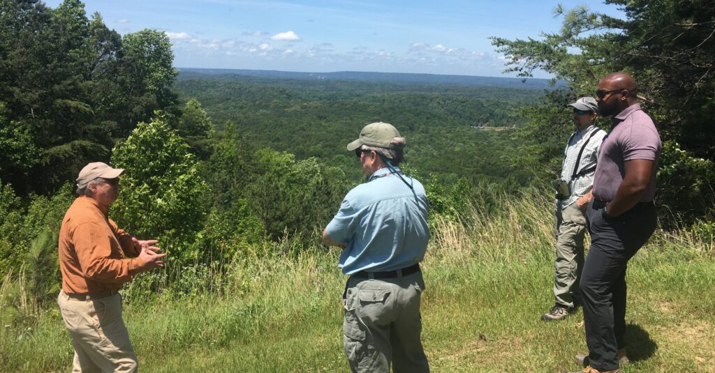 Forever Wild adds 4591 acres to parks, wildlife areas and preserves in 2022 fiscal year Forever Wild adds 4591 acres to parks, wildlife areas and preserves in 2022 fiscal year