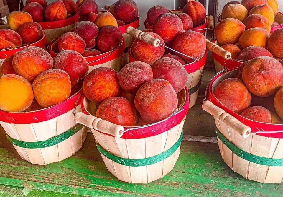 August is National Peach Month and here’s how to celebrate in Alabama August is National Peach Month and here’s how to celebrate in Alabama