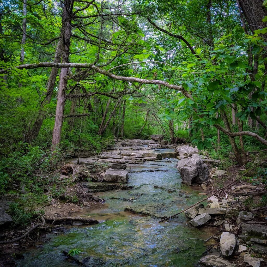Huntsville, scope out these 5 hiking trails in your area 6 hiking