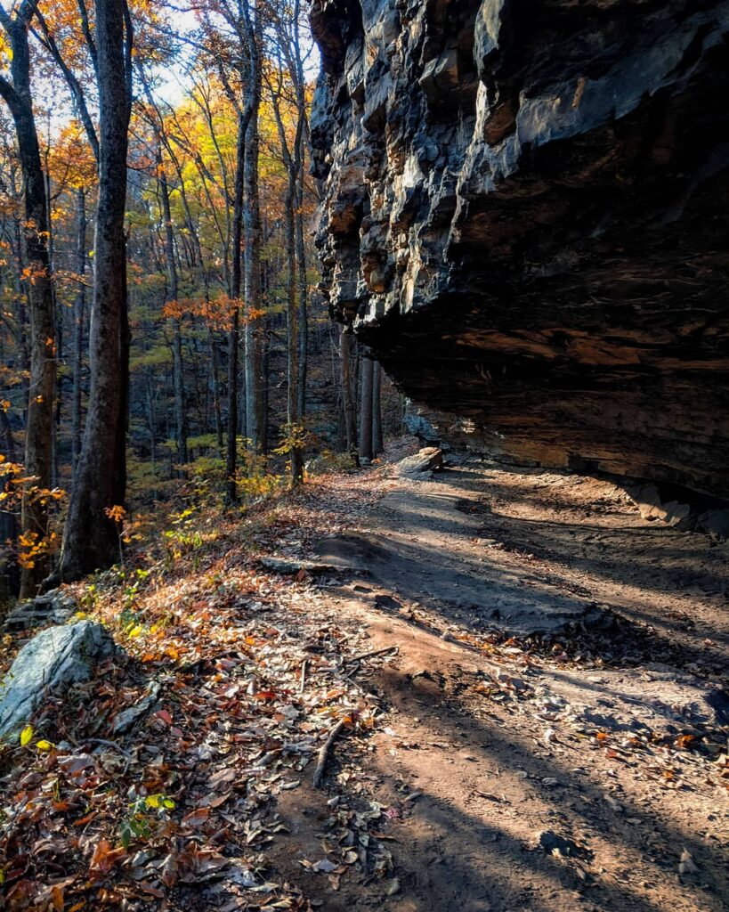Huntsville, scope out these 5 hiking trails in your area 2 hiking