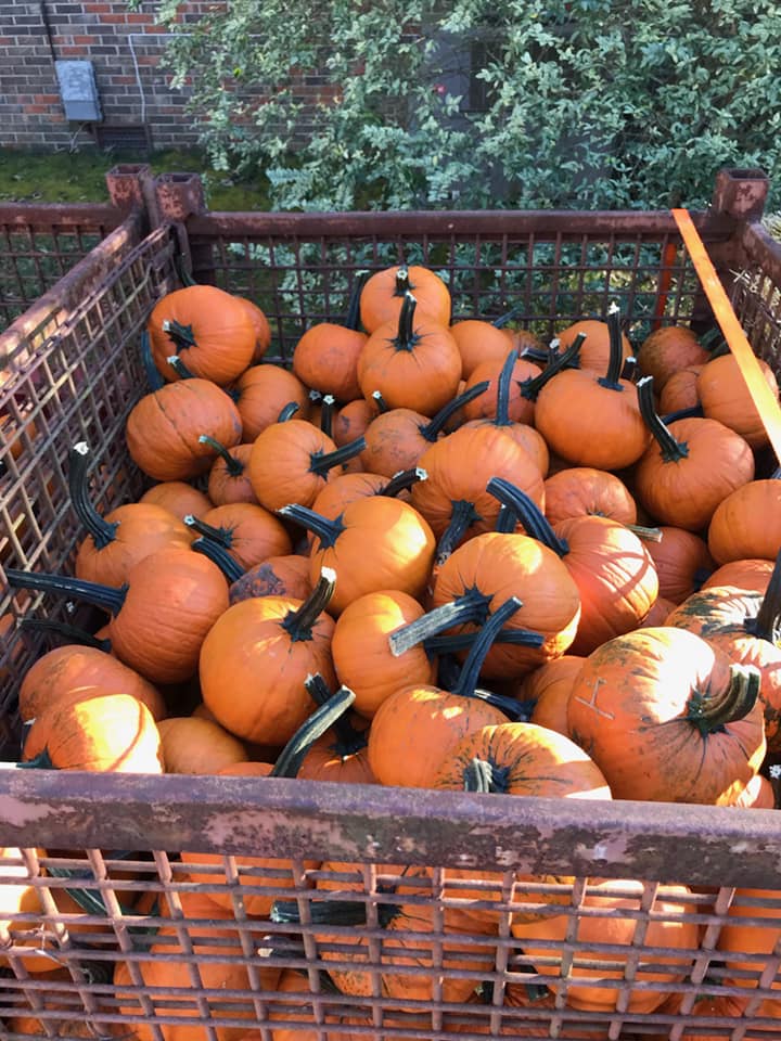 7 frightening events for October in Huntsville 5 October events HSV