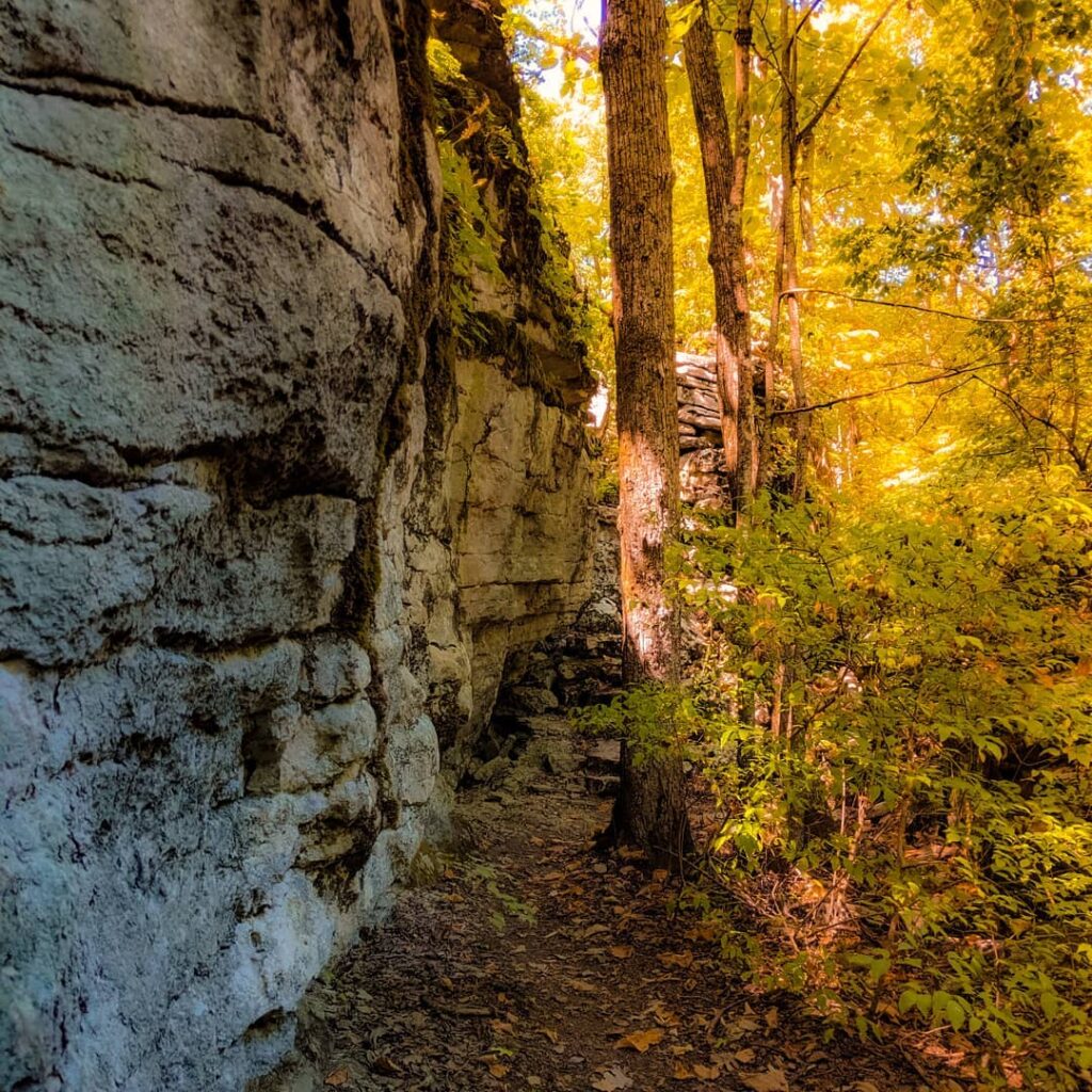 Huntsville, scope out these 5 hiking trails in your area 5 hiking