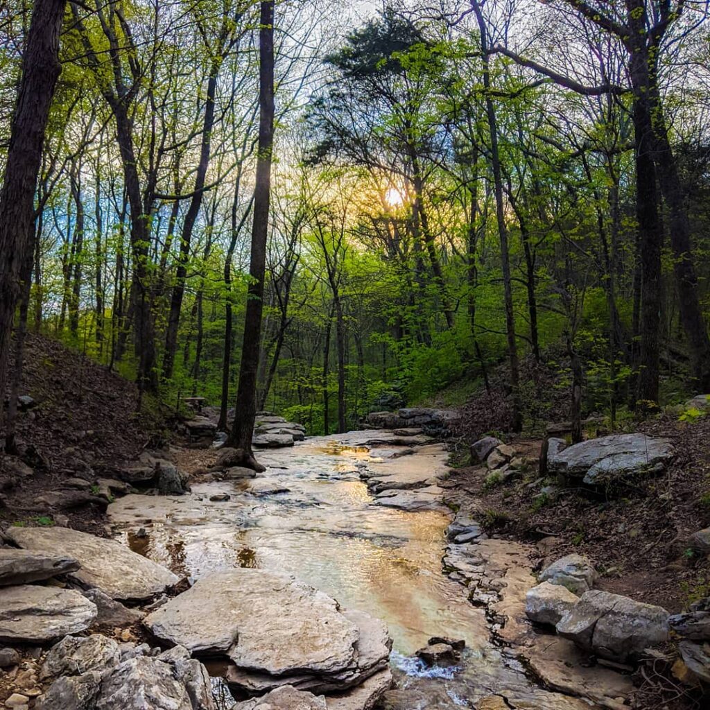 Huntsville, scope out these 5 hiking trails in your area