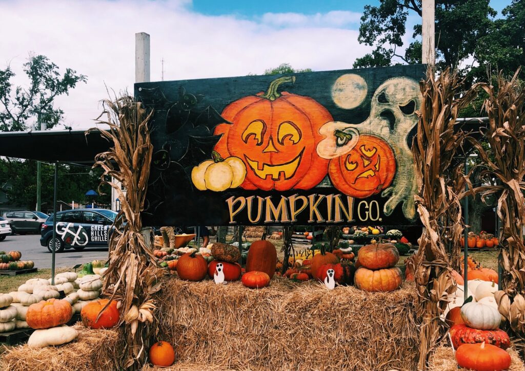 The best pumpkin patches to visit near Blount County The best pumpkin patches to visit near Blount County