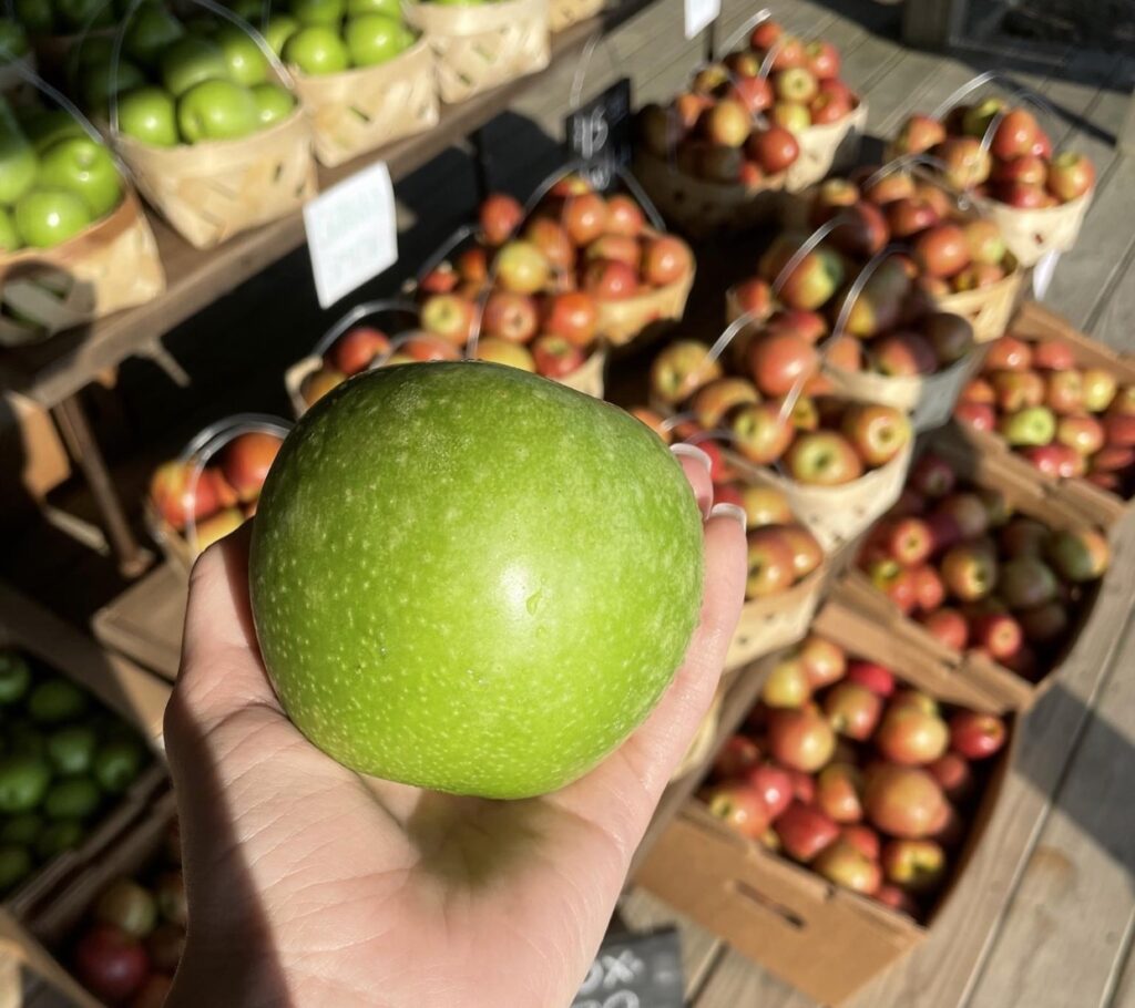 6 places to go apple picking across Alabama 6 places to go apple picking across Alabama