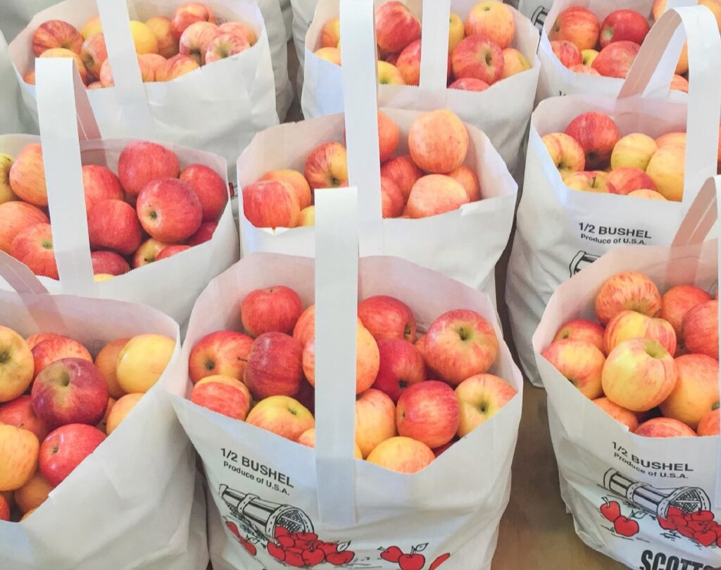 5 of the best apple picking orchards in north Alabama 5 of the best apple picking orchards in north Alabama