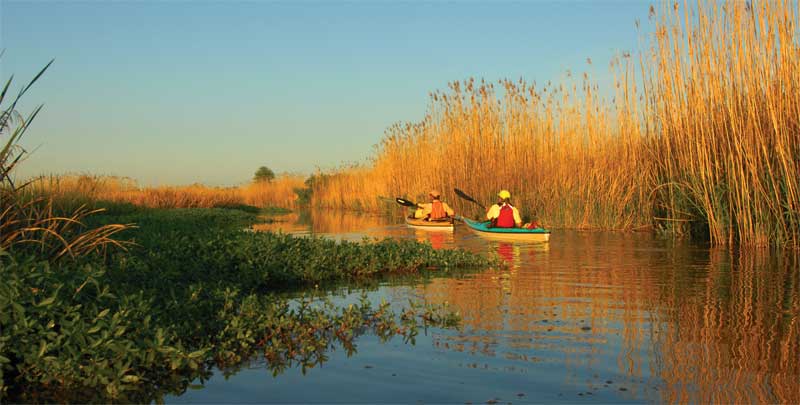 On your mark! Great Alabama paddle race is here—check it out On your mark! Great Alabama paddle race is here—check it out