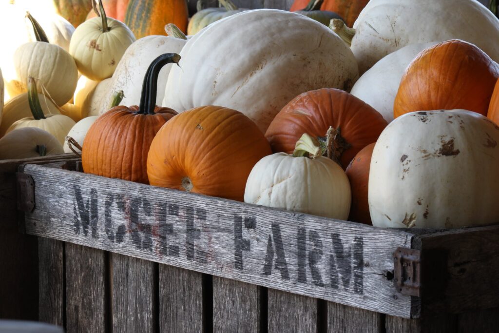 7 pumpkin patches in Alabama within 2 hours of Huntsville 8 Pumpkin patch near Huntsville