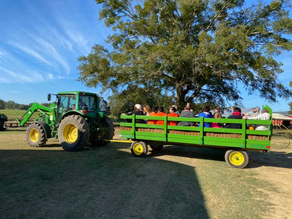 7 pumpkin patches in Alabama within 2 hours of Huntsville 3 Pumpkin patch near Huntsville