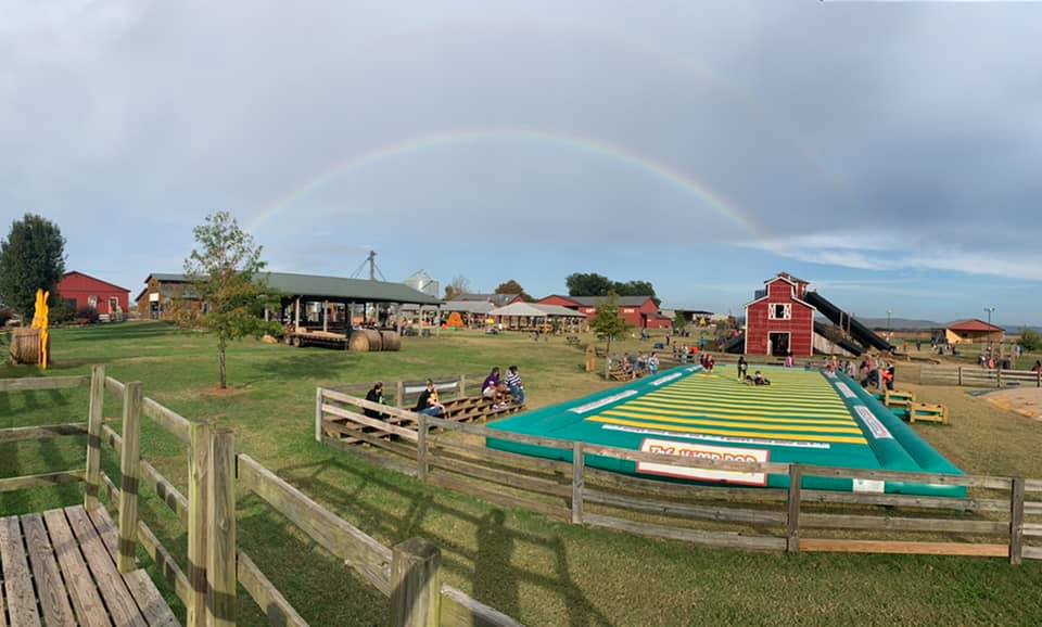 pumpkin patches in alabama