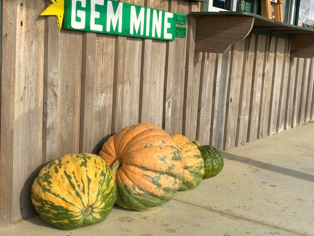 7 pumpkin patches in Alabama within 2 hours of Huntsville 6 Pumpkin patch near Huntsville