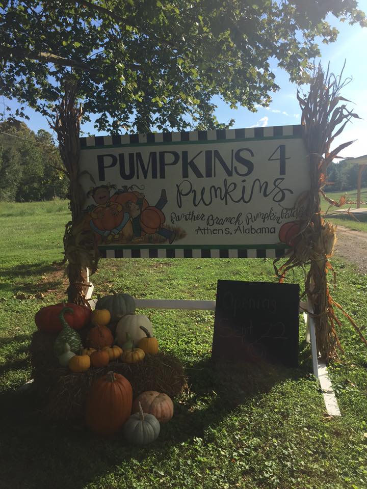 7 pumpkin patches in Alabama within 2 hours of Huntsville 2 Pumpkin patch near Huntsville