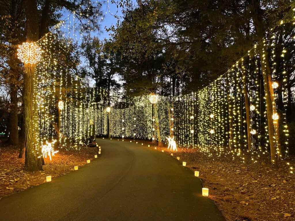 13 December events in Huntsville that will get you in the holiday spirit 6 december in huntsville
