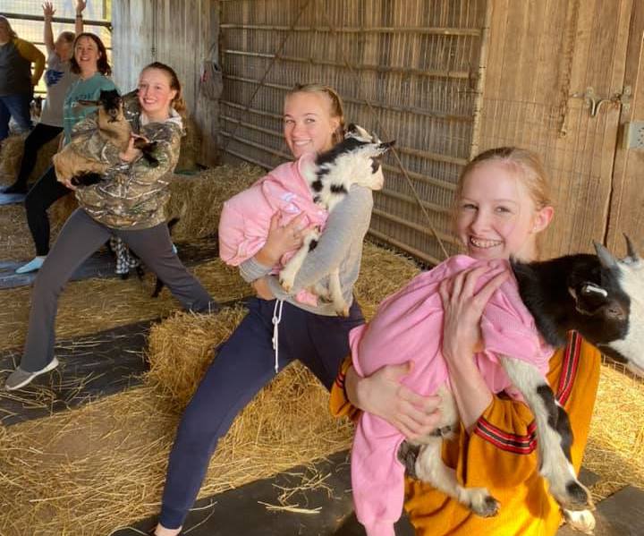 Get your stretch on with Goat Yoga Shoals — why you should try it now Get your stretch on with Goat Yoga Shoals — why you should try it now