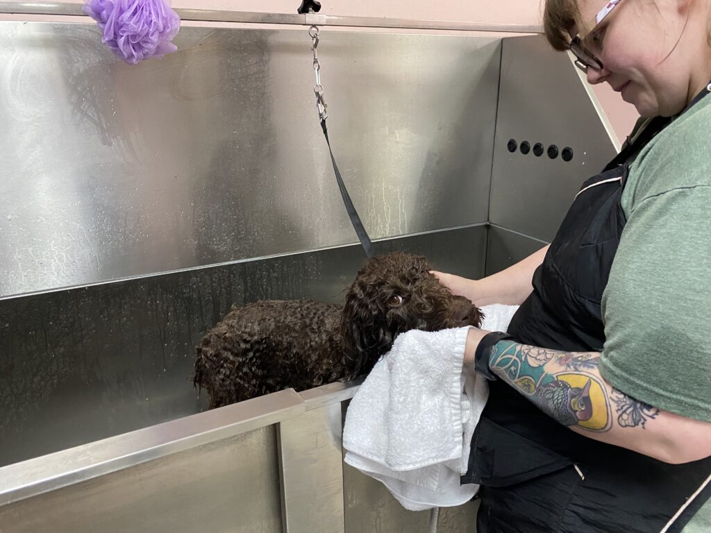 Small Biz Monday: Here's what you need to know about The Dapper Dog Spaw in Huntsville 3 The Dapper Dog Spaw