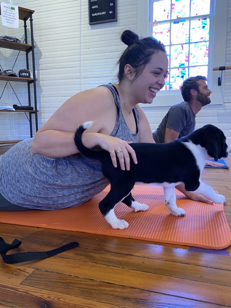 light on yoga